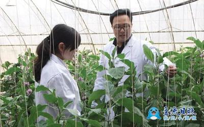 大學(xué)生創(chuàng)業(yè)之星 | 安仲濤 以科技療愈受傷的土地